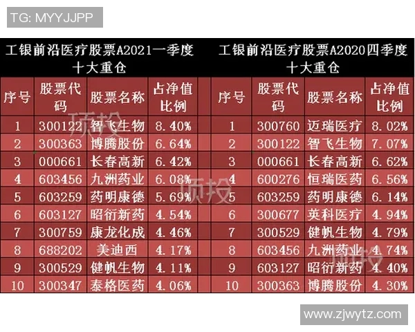 深圳排球队以78分领跑挑战赛积分榜展现强劲实力与团队协作 深圳排球队以78分领跑挑战赛积分榜展现强劲实力与团队协作