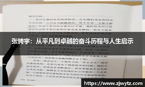 球速体育平台